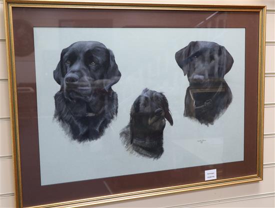 Matilda Bevan, watercolour, Three Labrador heads, signed and dated 1999